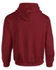HEAVY BLEND™ ADULT HOODED SWEATSHIRT