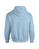 HEAVY BLEND™ ADULT HOODED SWEATSHIRT
