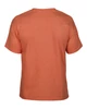 HEAVY COTTON™ ADULT T-SHIRT