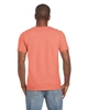 SOFTSTYLE® ADULT T-SHIRT