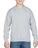 HEAVY BLEND™ YOUTH CREWNECK SWEATSHIRT