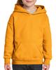 HEAVY BLEND™ YOUTH HOODED SWEATSHIRT