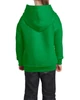 HEAVY BLEND™ YOUTH HOODED SWEATSHIRT