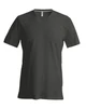MEN'S SHORT SLEEVE V-NECK T-SHIRT