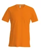 MEN'S SHORT SLEEVE V-NECK T-SHIRT