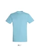 REGENT UNISEX ROUND COLLAR T-SHIRT