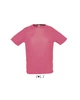 SPORTY RAGLAN SLEEVED T-SHIRTS