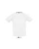 SPORTY RAGLAN SLEEVED T-SHIRTS