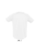 SPORTY RAGLAN SLEEVED T-SHIRTS