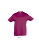 REGENT KIDS' ROUND COLLAR T-SHIRT